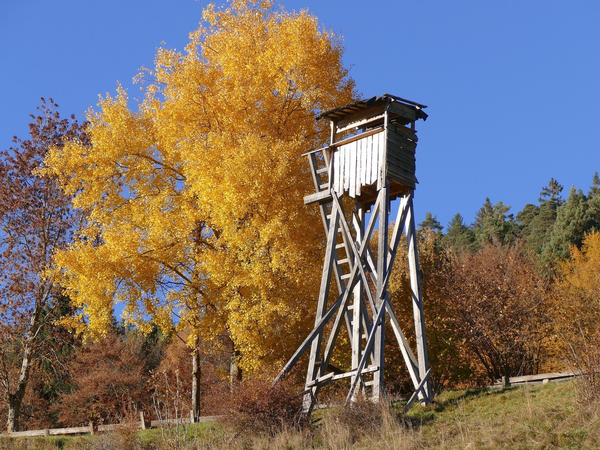 Ein Hochsitz im Herbst-Wald. 