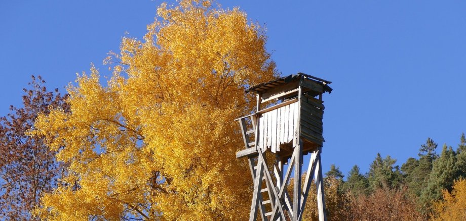 Ein Hochsitz im Herbst-Wald. 