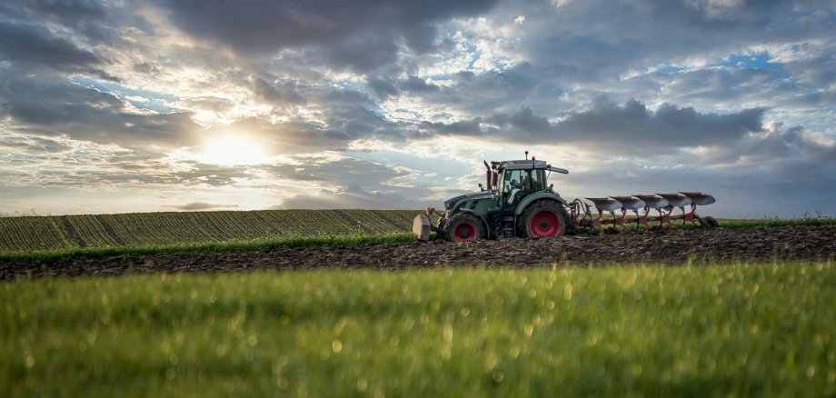 Ein Traktor pflügt ein Feld und fährt dabei von rechts nach links durchs Bild.
