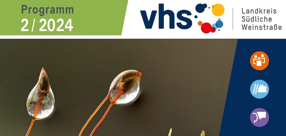 Nahaufnahme von Wassertropfen an einem Grashalm, darauf Schriftzug der Volkshochschulen.