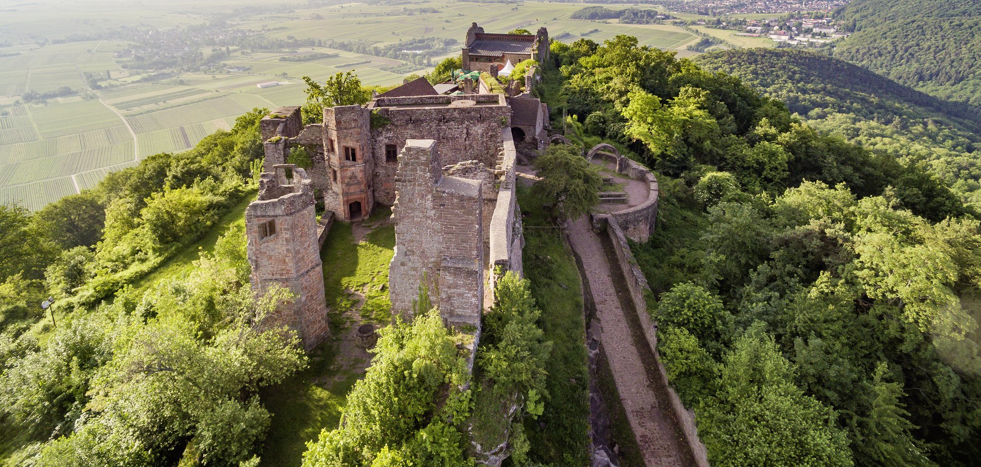 Die Madenburg bei Sonnenschein aus der Vogelperspektive fotografiert.