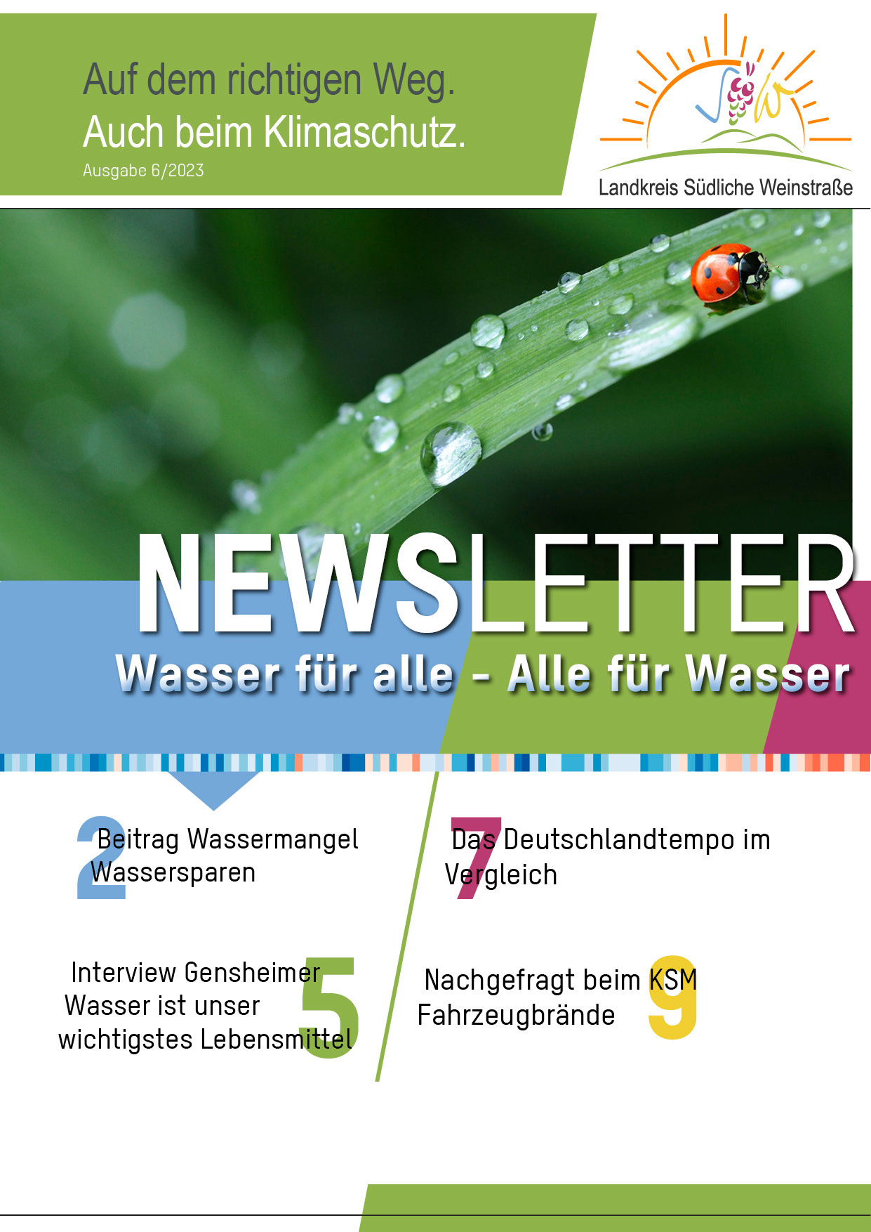 Das Wort "Newsletter" in großen weißen Lettern vor dem Hintergrund einer Pflanze mit Wassertropfen. 
