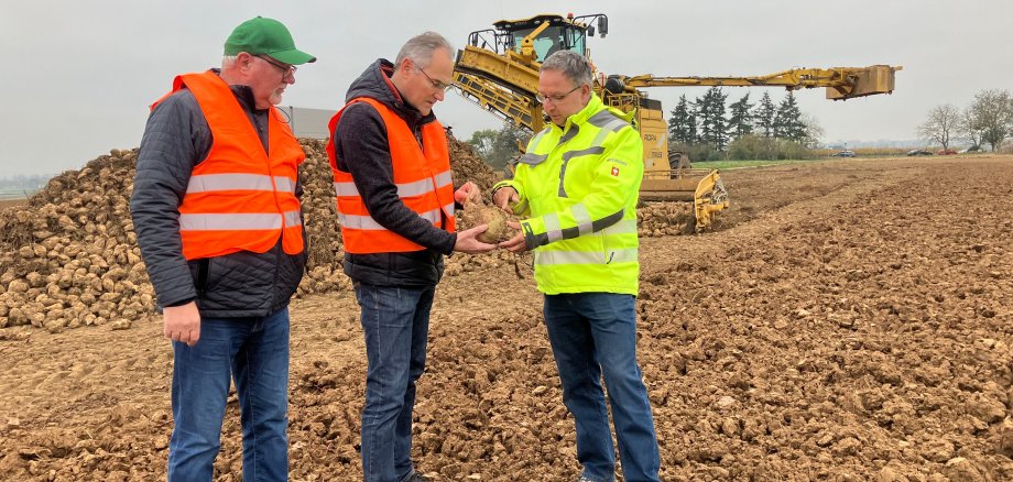 Karl-Friedrich Junker, SÜW-Kreisvorsitzender des Bauern- und Winzerverbandes Rheinland-Pfalz Süd e.V., Landrat Dietmar Seefeldt und Thomas Knecht, 1. stellvertretender Vorsitzender des Verbands der Hessisch-Pfälzischen Zuckerrübenanbauer e.V. (von links nach rechts), bei der Zuckerrüben-Abfuhr 2024.