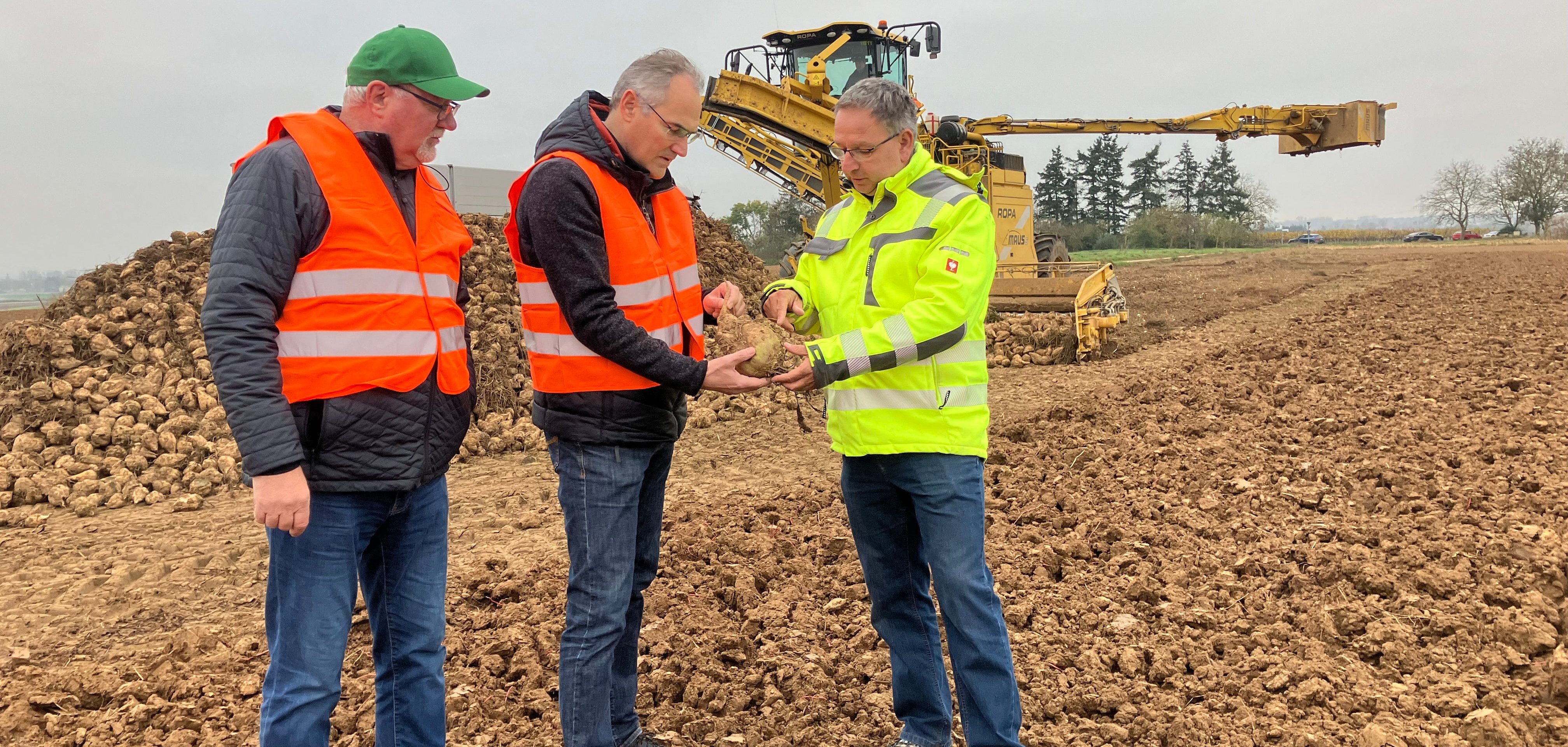 Karl-Friedrich Junker, SÜW-Kreisvorsitzender des Bauern- und Winzerverbandes Rheinland-Pfalz Süd e.V., Landrat Dietmar Seefeldt und Thomas Knecht, 1. stellvertretender Vorsitzender des Verbands der Hessisch-Pfälzischen Zuckerrübenanbauer e.V. (von links nach rechts), bei der Zuckerrüben-Abfuhr 2024.