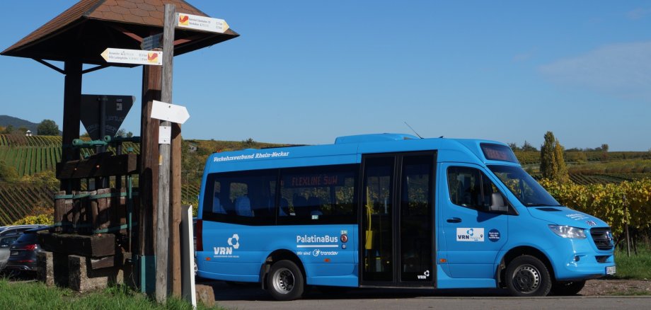 Ein blauer Kleinbus steht an einer Straßenkreuzung im ländlichen Raum. Im Hintergrund sind unter blauem Himmel Weinberge zu sehen. Auf einer digitalen Anzeigetafel im Bus ist "Flexline SÜW" zu lesen. Der Bus selbst trägt die Aufschriften "Verkehrsverbund Rhein-Neckar" und "PalatinaBus".