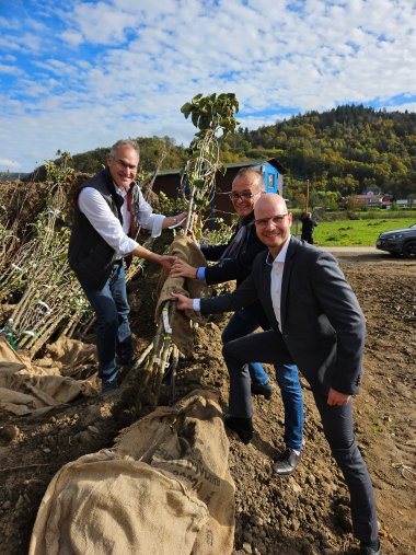 Dietmar Seefeldt, Dr. Fritz Brechtel und Svend Larsen (von links nach rechts) packten bei der Baumpflanzaktion am letzten Oktober-Wochenende im Ahrtal mit an. Foto: KV GER Landrat Dietmar Seefeldt, Landrat Dr. Fritz Brechtel und Svend Larsen (von links nach rechts) beteiligen sich aktiv an der Pflanzung eines Obstbaums während der Baumpflanzaktion im Ahrtal. Sie halten gemeinsam einen eingepackten Setzling, im Hintergrund ist eine hügelige Landschaft und ein blauer Himmel zu sehen.