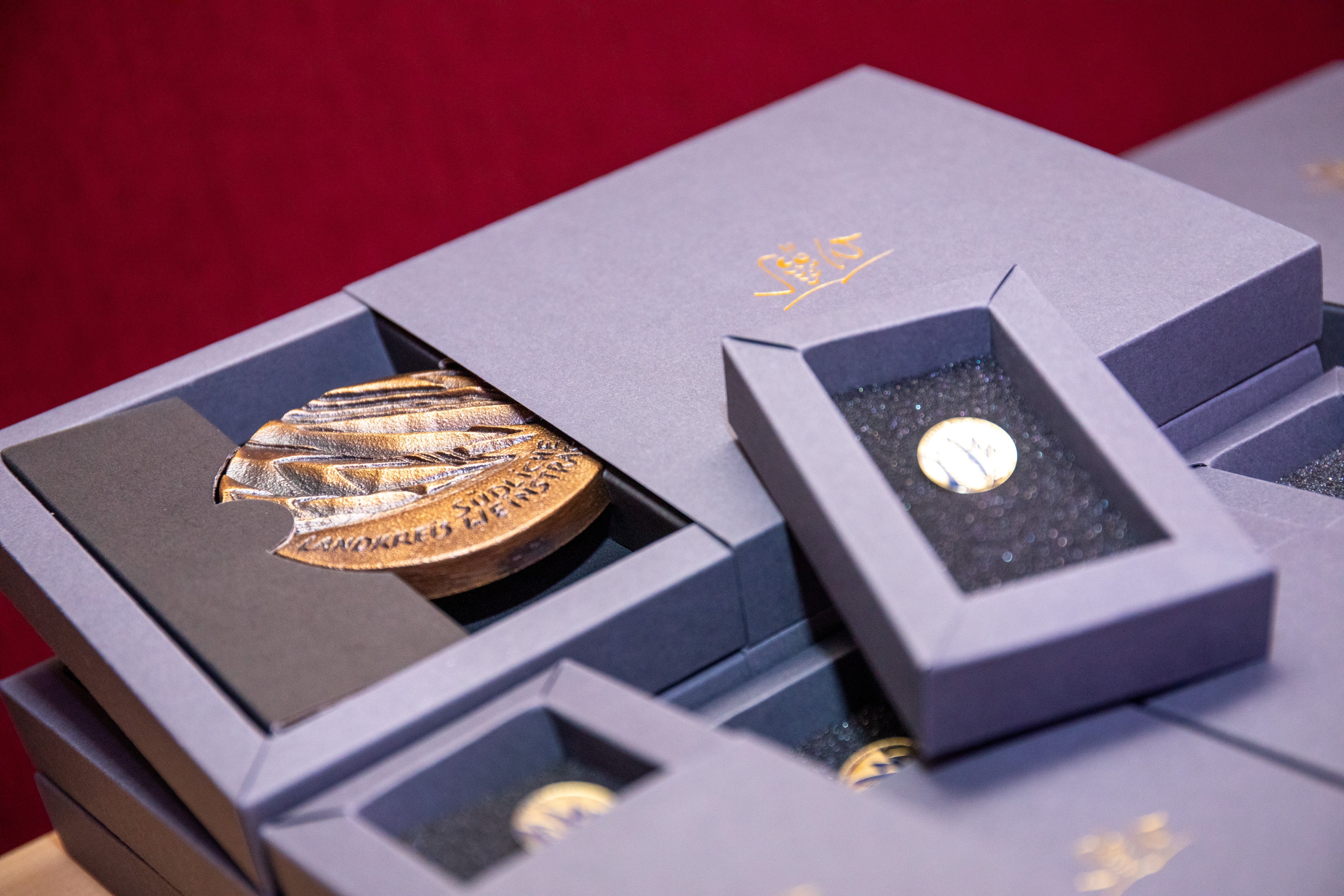 Zu sehen sind eine Sportehrenplakette und eine Sportehrennadel in ihren Verpackungen liegend.