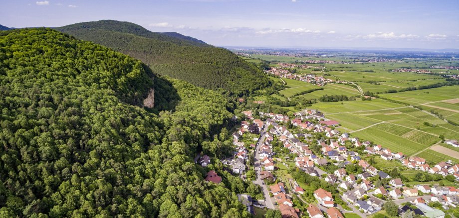 Ein Dorf von oben, zwischen grünem Berghang und Ebene.