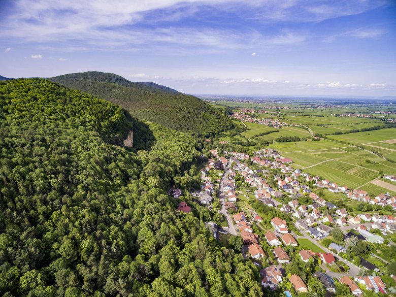 So sieht Frankweiler aus der Vogelperspektive aus. Foto: Knut Pflaumer, Pfalz Touristik e.V. via Bildarchiv Südliche Weinstrasse e.V. Ein Dorf von oben, zwischen grünem Berghang und Ebene.
