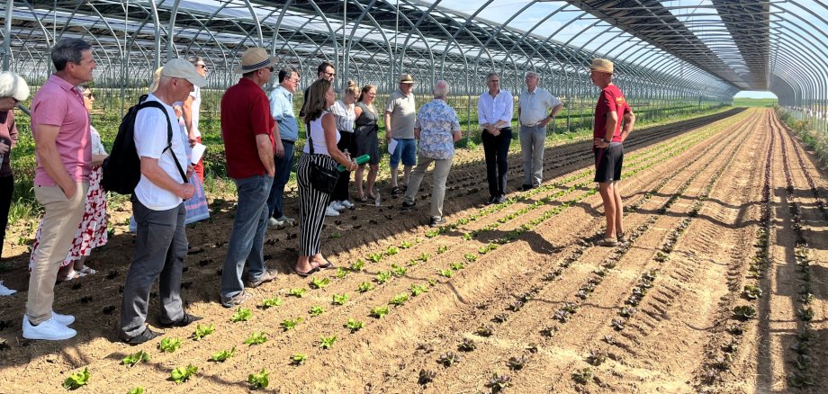Die Mitglieder des Ausschusses für Umwelt, Klima, Weinbau und Landwirtschaft (UKWL) des Landkreises Südliche Weinstraße besichtigen die Agri-Photovoltaikanlage von Biobauer Ralf Gensheimer. Unterhalb der Solarpaneele wachsen junge Pflanzen in Reihen auf einem Feld, während Biobauer Ralf Gensheimer die Gruppe informiert.