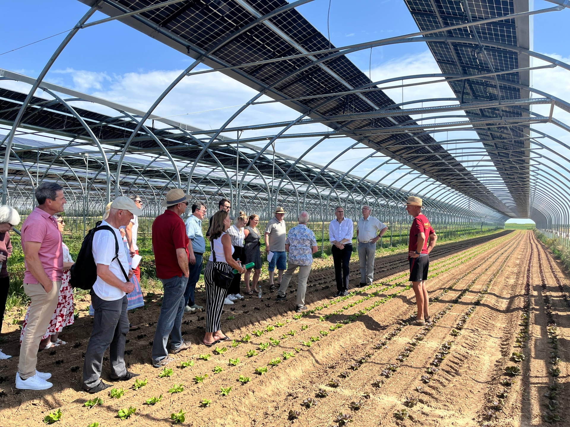 Die Mitglieder des Ausschusses für Umwelt, Klima, Weinbau und Landwirtschaft (UKWL) des Landkreises Südliche Weinstraße besichtigen die Agri-Photovoltaikanlage von Biobauer Ralf Gensheimer. Unterhalb der Solarpaneele wachsen junge Pflanzen in Reihen auf einem Feld, während Biobauer Ralf Gensheimer die Gruppe informiert.