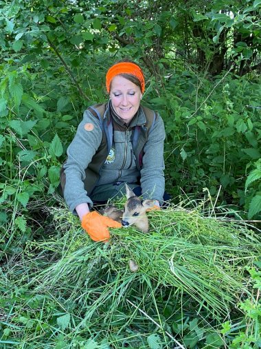 Anne Raststätter nimmt das kleine Kitz behutsam auf, um es für die Zeit während der Mahd in eine mit Gras ausgelegte Kiste zu setzen. Foto: Mohn Eine Frau nimmt ein kleines Rehkitz mit behandschuhten Händen auf.