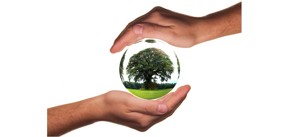 Zwischen zwei schützenden Händen schwebt eine Blase, in der ein grüner Laubbaum zu sehen ist. Das Bild symbolisiert Klima- und Naturschutz.