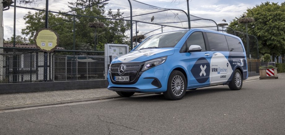 Ein Kleinbus steht vor einem Zaun, dahinter mehrere Nester mit einem Weißstorch.