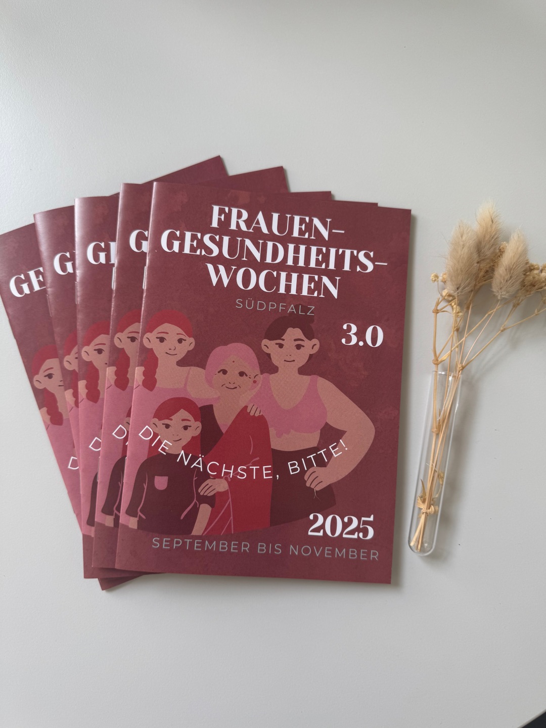 Mehrere übereinanderliegende Programmhefte zu den Frauengesundheitswochen Südpfalz 3.0. Das Cover ist weinrot und zeigt stilisierte Zeichnungen von Frauen unterschiedlichen Alters. Der Titel lautet „Frauengesundheitswochen Südpfalz 3.0 – Die nächste, bitte!“. Unten ist vermerkt „2025 – September bis November“. Rechts neben den Heften liegt ein kleines Sträußchen getrockneter Gräser.