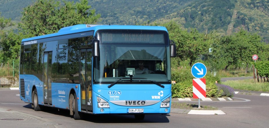 Ein blauer Linienbus auf einer Straße am Rand des Pfälzerwalds.