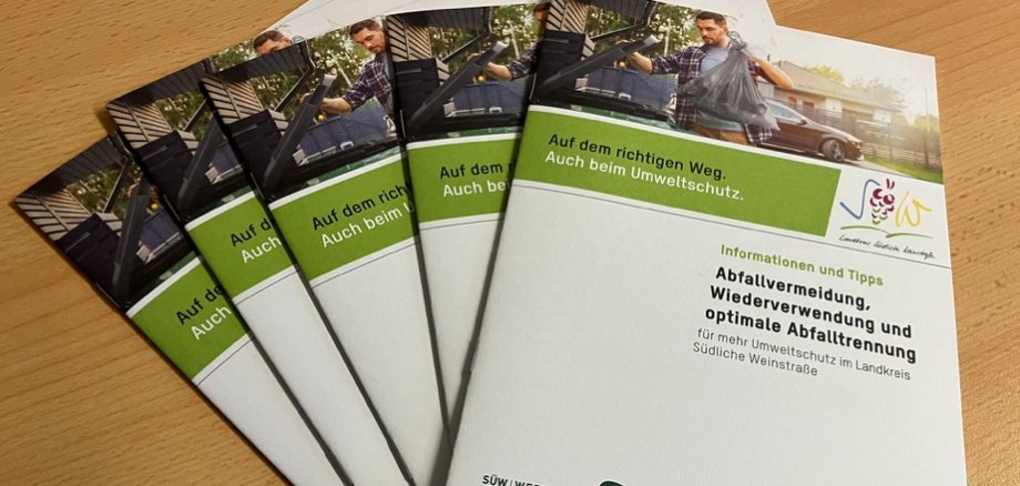 Mehrere Broschüren liegen fächerartig übereinander auf einem Holztisch.