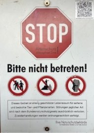 So sieht das Sperrschild an den Felsen aus. Foto: Günter Reinhardt Ein Hinweisschild zum Artenschutz mit der Aufschrift „STOP – Artenschutz! Schützenswerte Zone!“ und „Bitte nicht betreten!“. Darunter Piktogramme, die verschiedene verbotene Aktivitäten wie Betreten, Wandern und Klettern darstellen. Ein Textfeld informiert über den streng geschützten Lebensraum und die rechtlichen Konsequenzen bei Zuwiderhandlungen.