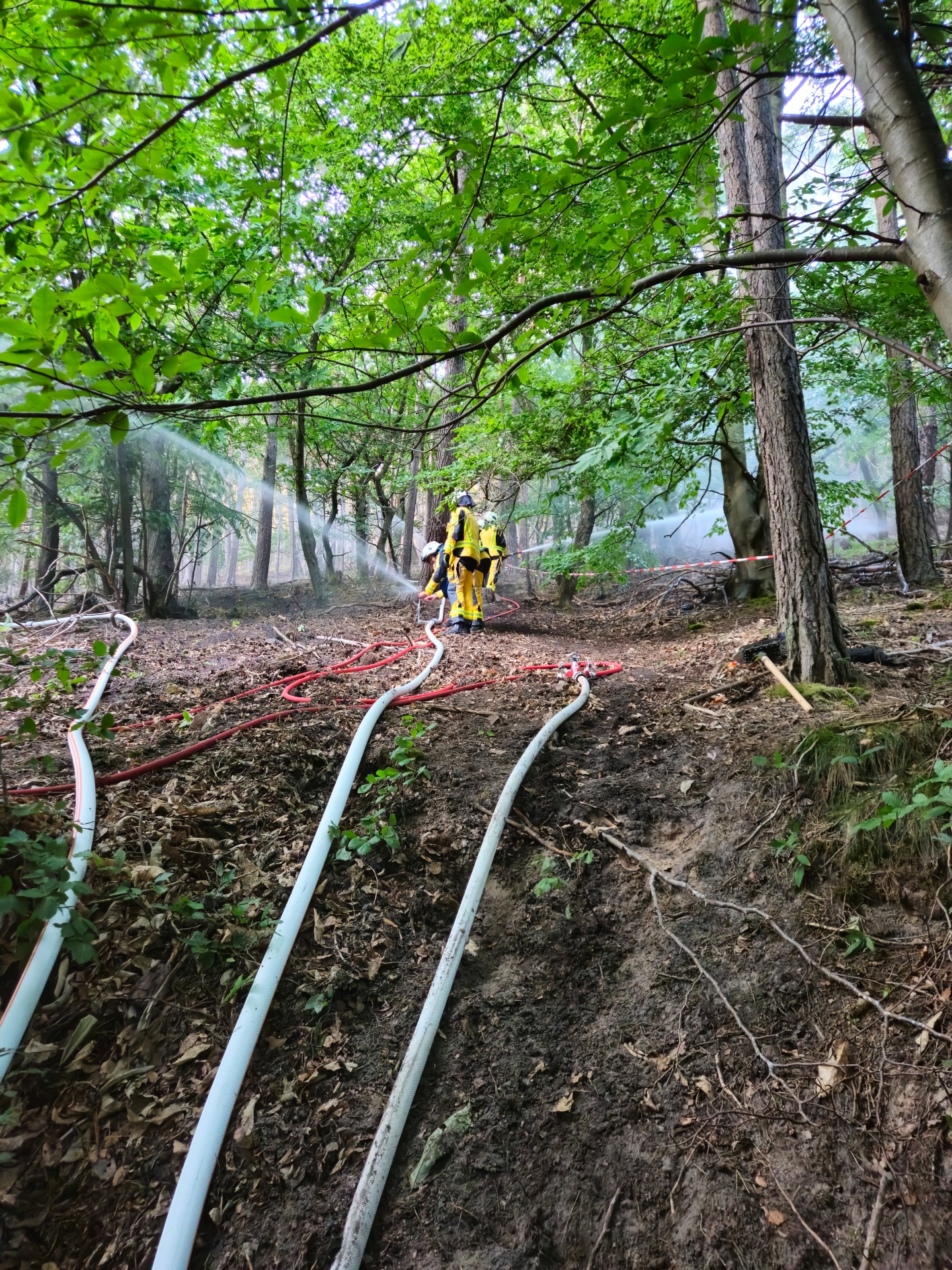 Feuerwehrleute in gelber Schutzkleidung stehen auf einem bewaldeten Hang und bekämpfen einen fiktiven Waldbrand. Mehrere weiße und rote Schläuche verlaufen den Hang hinauf, während Wasser aus einem Strahlrohr auf die Bäume gesprüht wird. Dichte Vegetation und große Bäume umgeben die Einsatzstelle.