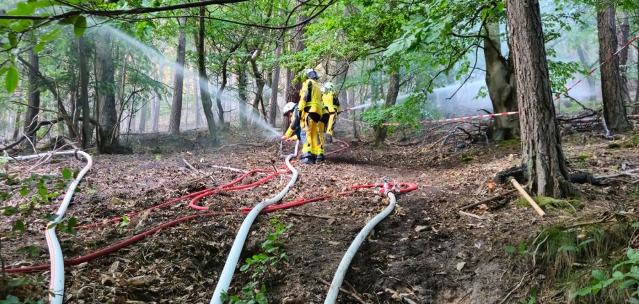 Feuerwehrleute in gelber Schutzkleidung stehen auf einem bewaldeten Hang und bekämpfen einen fiktiven Waldbrand. Mehrere weiße und rote Schläuche verlaufen den Hang hinauf, während Wasser aus einem Strahlrohr auf die Bäume gesprüht wird. Dichte Vegetation und große Bäume umgeben die Einsatzstelle.