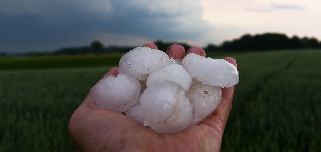 Nahaufnahme golfballgroßer Hagelkörner, die in einer Hand gehalten werden.