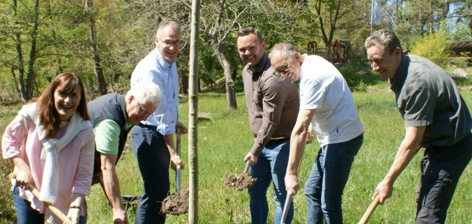 Von links nach rechts: Gabriele Flach, Bürgermeisterin der Verbandsgemeinde Maikammer, Peter Hiery, Betreuer der Heckrinderbeweidung St. Martin, Landrat Dietmar Seefeldt, Timo Glaser, Ortsbürgermeister von St. Martin, Frank Moll, Beigeordneter der Ortsgemeinde St. Martin und Rainer Northoff, Revierleiter des Forstrevieres „Kalmit“ (Forstamt Haardt) pflanzten gemeinsam die Roteiche. Foto: KV SÜW Sechs Personen stehen mit Spaten um einen frisch gepflanzten jungen Baum auf einer Wiese und schaufeln Erde ins Pflanzloch. Die Gruppe lächelt in die Kamera. Im Hintergrund sind Bäume und eine Waldlichtung zu sehen.