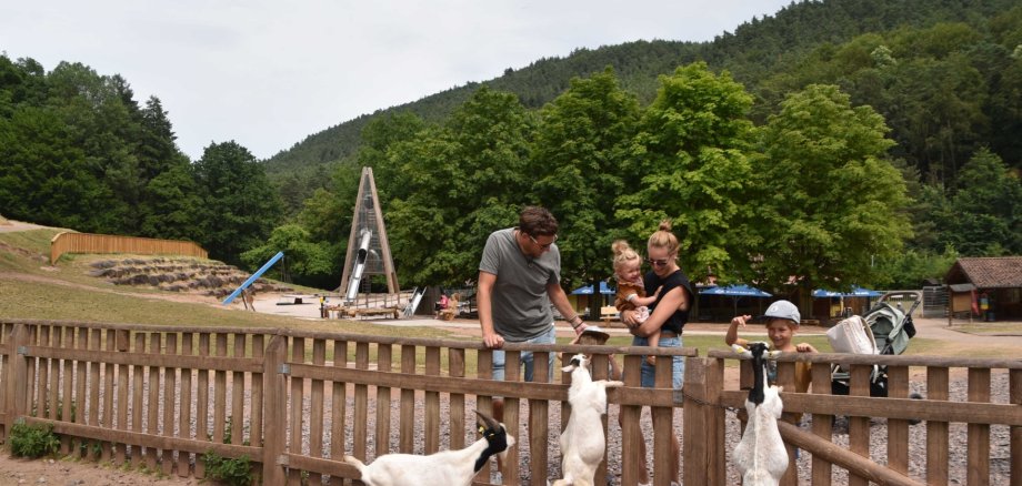 Der Wild- und Wanderpark ist ein beliebtes Ausflugsziel für die ganze Familie. Foto: WWP Zwei Erwachsene und zwei Kinder stehen am Gatter des Streichelzoos im Wild- und Wanderpark. Im Vordergrund Ziegen. Im Hintergrund der Abenteuerspielplatz.