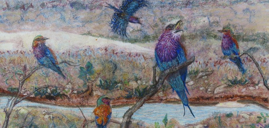 Titel des Bildes: „Birds of South Africa Lilac Breasted Roller Best“. Foto: Jacklyn Gratzfeld Titel des Bildes: „Birds of South Africa Lilac Breasted Roller Best“. Foto: Jacklyn Gratzfeld