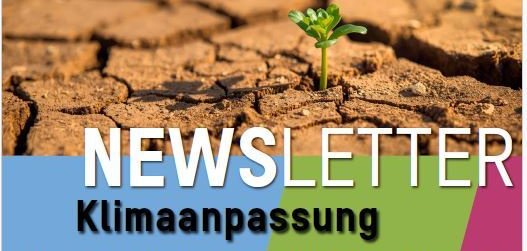 Titelseite des SÜW-Klimaschutz-Newsletters 7/2025. Zentrales Motiv ist eine kleine, keimende Grünpflanze auf ausgetrocknetem Boden. Das Thema des Newsletters ist mit "Klimaanpassung" betitelt.