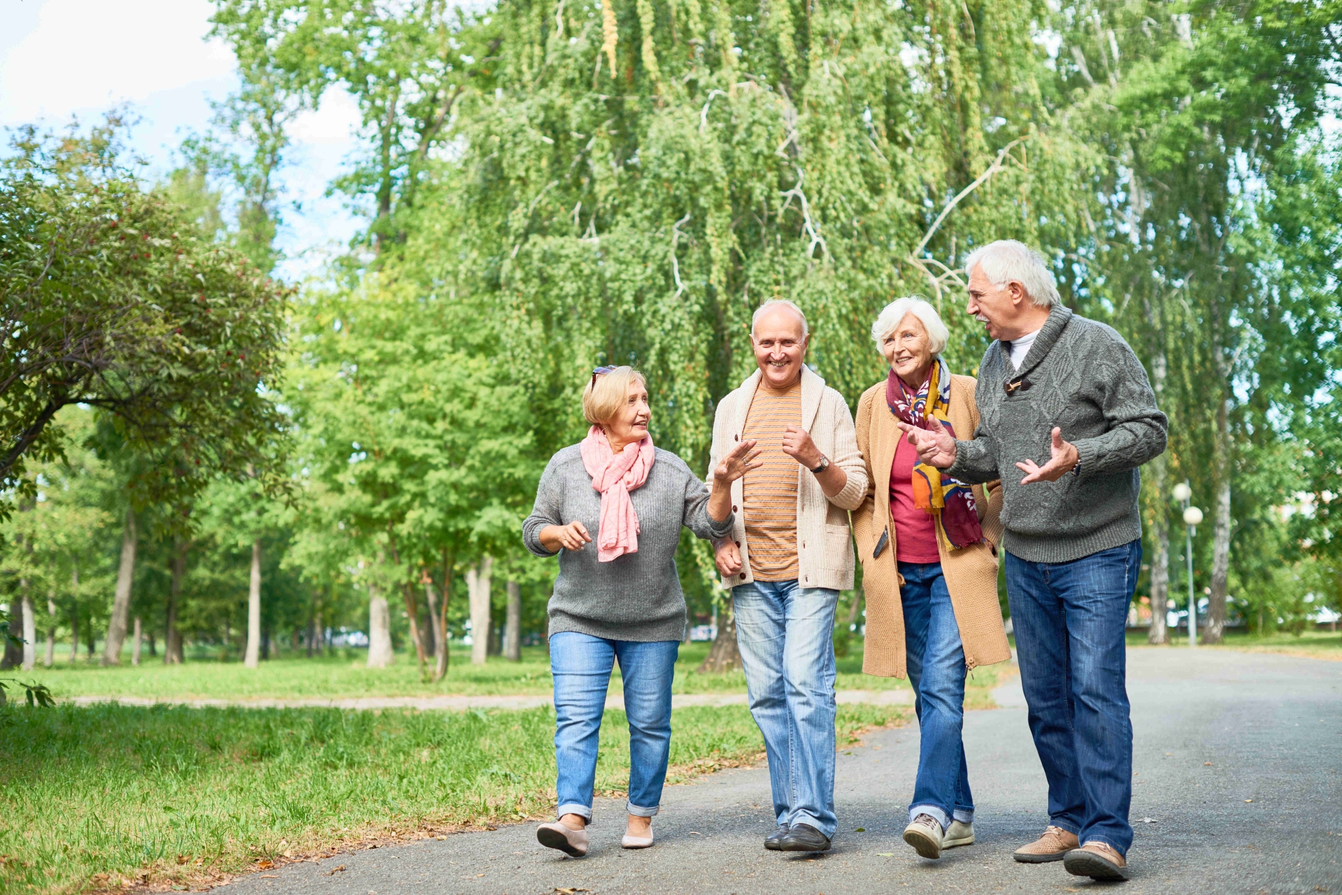 Eine Gruppe Seniorinnen und Senioren in warmer Kleidung läuft während einer freudigen Unterhaltung durch einen Park.