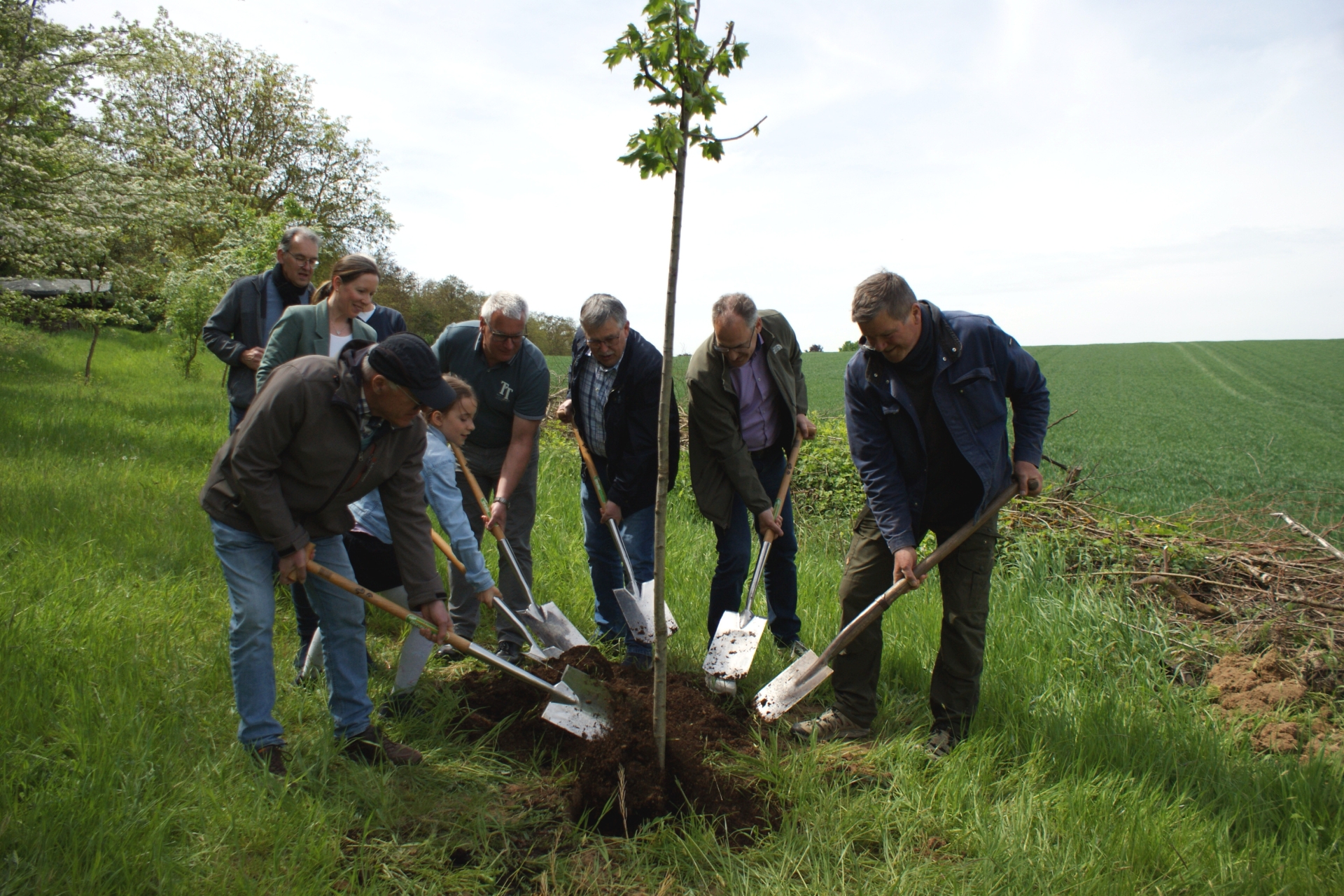 Mehrere Erwachsene und ein Kind pflanzen gemeinsam einen jungen Baum auf einer Wiese und schaufeln Erde in das Pflanzloch.