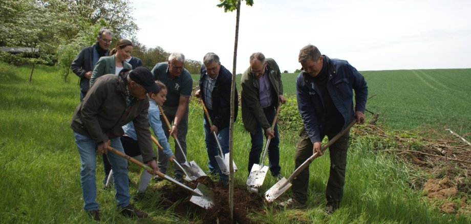 Mehrere Erwachsene und ein Kind pflanzen gemeinsam einen jungen Baum auf einer Wiese und schaufeln Erde in das Pflanzloch.