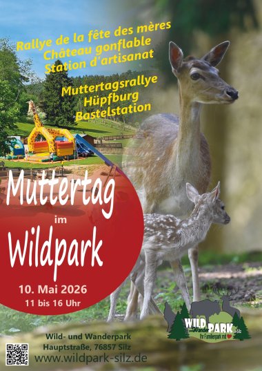 Flyer zur Muttertagsrallye im Wild- und Wanderpark Südliche Weinstraße in Silz. Zu sehen ist Damwild sowie eine Hüpfburg im Park. Das Angebot findet am 10. Mai 2026 von 11 bis 16 Uhr statt.