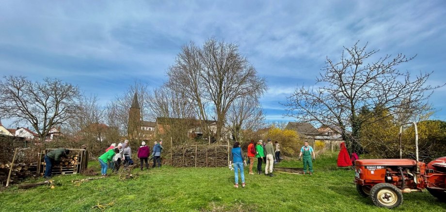 Die Nachbarn des Pflegebauernhofs der Starck Stiftung in Schweighofen packen kräftig mit an. Foto: Georg Starck/frei Eine Gruppe von Menschen arbeitet bei sonnigem Wetter auf einer Grünfläche. Mehrere Personen sind mit Gartenarbeit beschäftigt. In der Mitte befindet sich eine große, aus Ästen aufgeschichtete Totholzhecke. Im Hintergrund sind Laubbäume, Wohnhäuser und ein Kirchturm zu sehen.