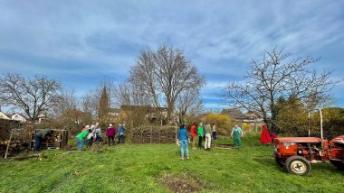 Die Nachbarn des Pflegebauernhofs der Starck Stiftung in Schweighofen packen kräftig mit an. Foto: Georg Starck/frei Eine Gruppe von Menschen arbeitet bei sonnigem Wetter auf einer Grünfläche. Mehrere Personen sind mit Gartenarbeit beschäftigt. In der Mitte befindet sich eine große, aus Ästen aufgeschichtete Totholzhecke. Im Hintergrund sind Laubbäume, Wohnhäuser und ein Kirchturm zu sehen.