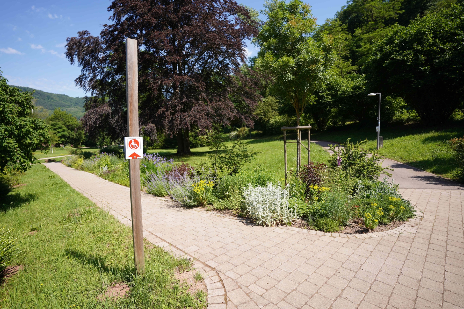 Ein gepflasterter Weg führt durch eine gepflegte Grünanlage mit Rasenflächen, Bäumen und üppig bepflanzten Beeten.