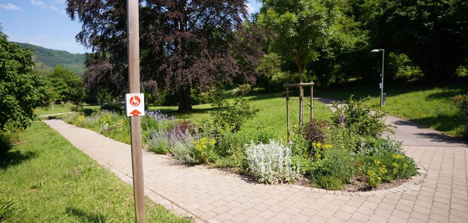 Die Markward-Anlage in Annweiler lädt zum Spazieren und Verweilen ein, der Rundweg ist barrierefrei. Foto: KV SÜW Ein gepflasterter Weg führt durch eine gepflegte Grünanlage mit Rasenflächen, Bäumen und üppig bepflanzten Beeten.