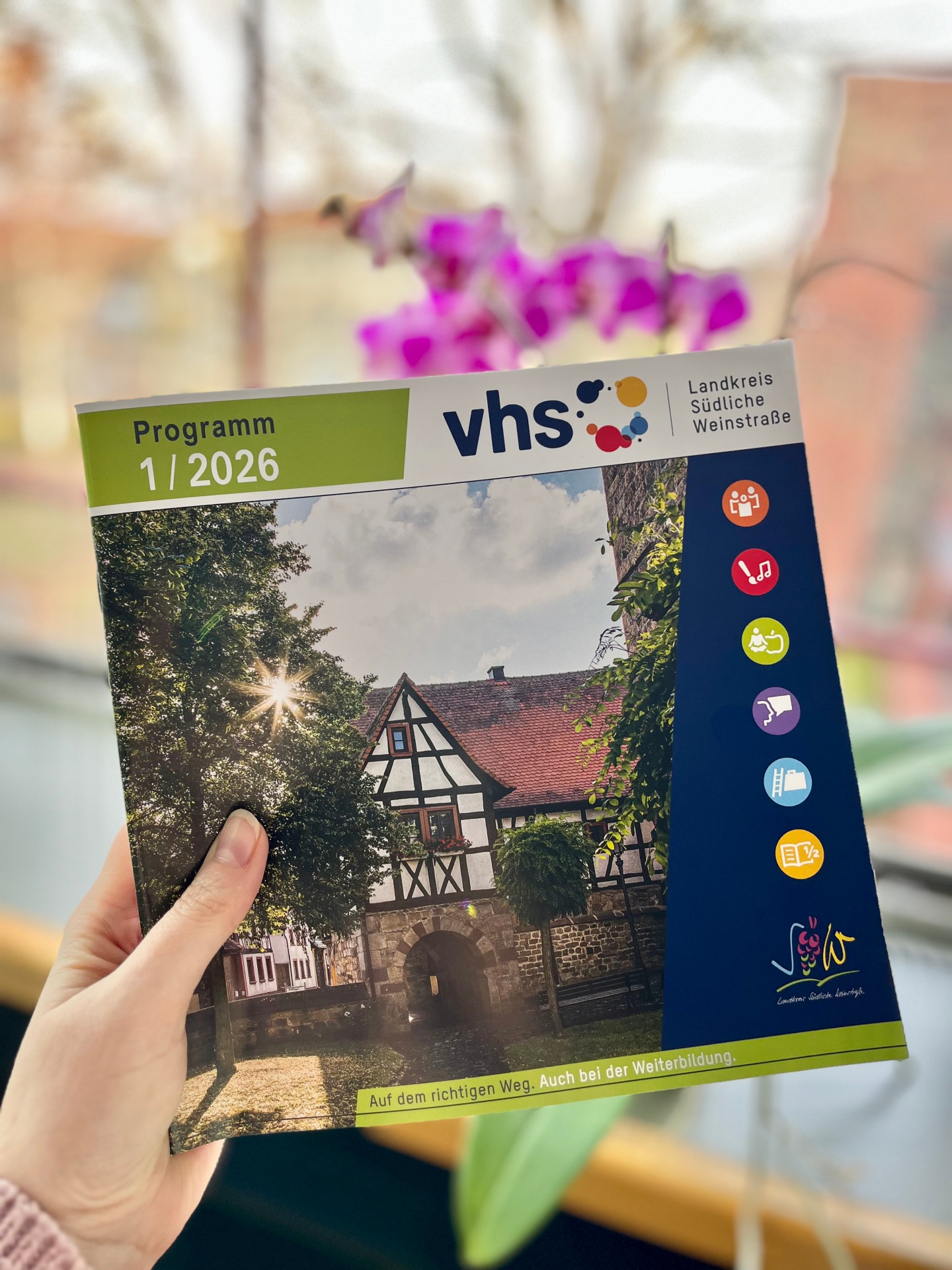 Eine Hand hält das neue Programmheft der kvhs SÜW, im Hintergrund unscharf eine Orchidee.