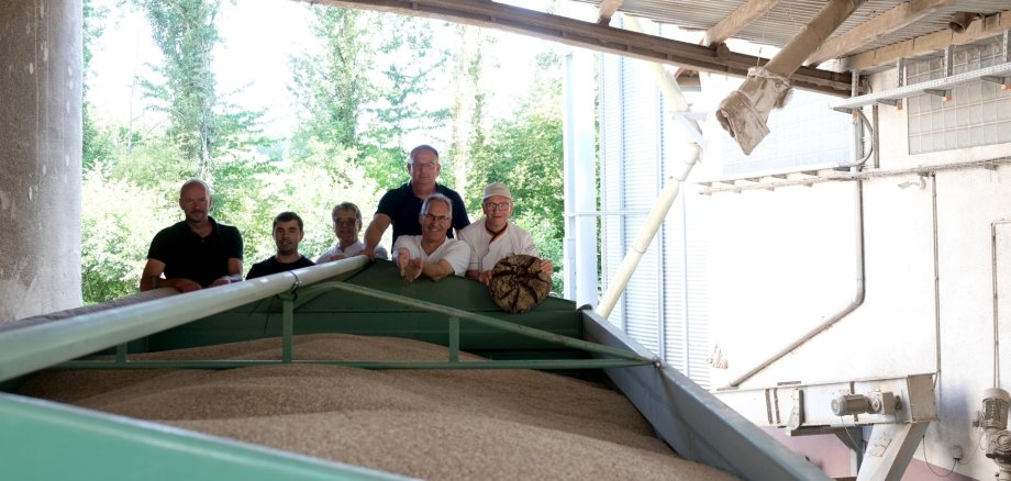 Ein grüner Hänger voller Getreide, im Hintergrund mehrere Personen.