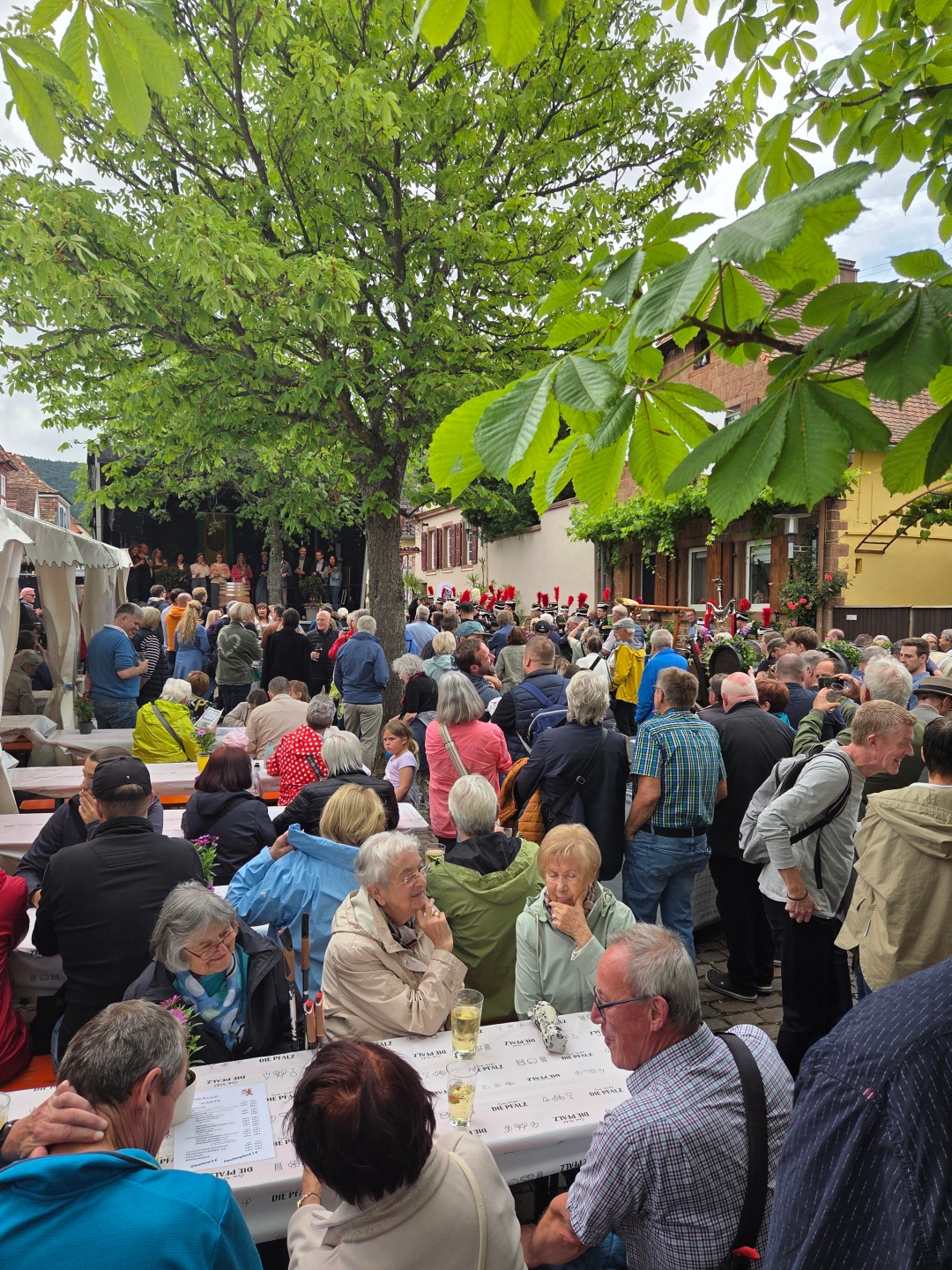 Zahlreiche Besucherinnen und Besucher sitzen und stehen unter einem großen Baum beim Heimat- und Blütenfest in Rhodt. Zwischen den Festbänken und entlang der Straße herrscht reges Treiben, während im Hintergrund eine Musikkapelle spielt.
