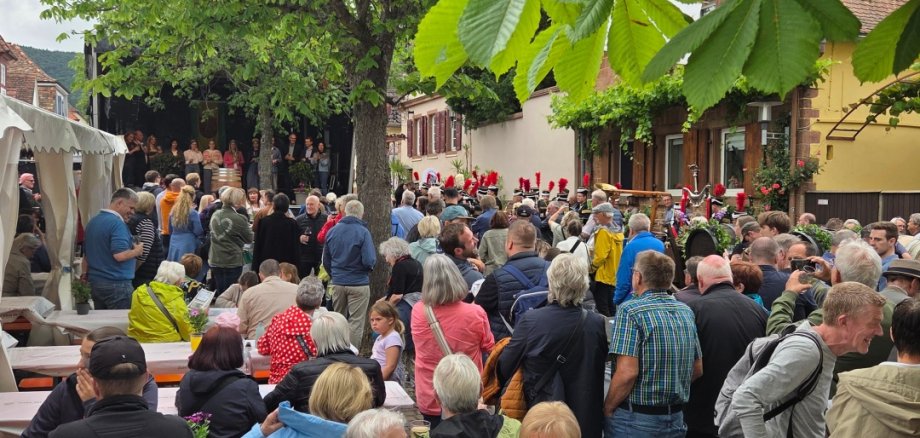 An Pfingsten ist Feiern entlang der historischen Theresienstraße in Rhodt unter Rietburg ein Erlebnis. Archivfoto: Christoph Krieger/frei Zahlreiche Besucherinnen und Besucher sitzen und stehen unter einem großen Baum beim Heimat- und Blütenfest in Rhodt. Zwischen den Festbänken und entlang der Straße herrscht reges Treiben, während im Hintergrund eine Musikkapelle spielt.