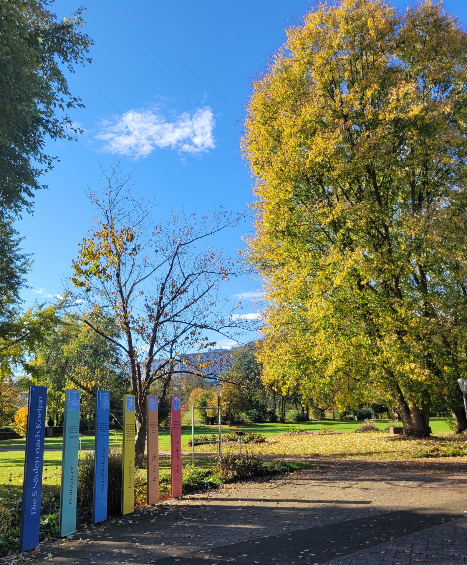 Herbstliche Parkanlage mit großen Bäumen in gelb-grünem Laub unter blauem Himmel. Links stehen mehrere schmale, bunte Informationsstelen neben einem Weg. Im Hintergrund sind Rasenflächen und weitere Bäume zu sehen.