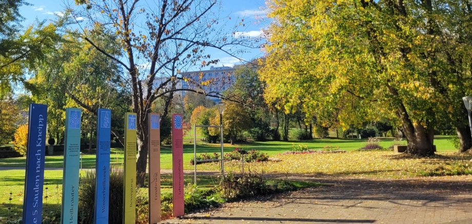 Herbstliche Parkanlage mit großen Bäumen in gelb-grünem Laub unter blauem Himmel. Links stehen mehrere schmale, bunte Informationsstelen neben einem Weg. Im Hintergrund sind Rasenflächen und weitere Bäume zu sehen.