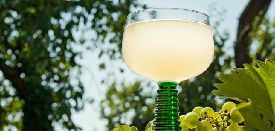 Die rechtlichen Rahmenbedingungen für Straußwirtschaften sollen an die heutige Situation der Weinbaubetriebe angepasst und bürokratische Hürden abgebaut werden. Symbolfoto: Pixabay Ein Weinglas mit Federweißem.