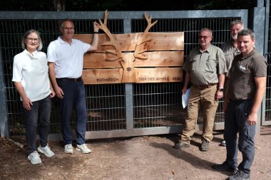 Ein selbstgefertigtes Schild aus Holz macht am Eingang zum Rotwild-Gehege auf das Tier des Jahres 2026 aufmerksam, daneben stehen von links: Uta Holz, Geschäftsführerin Verein SÜW e.V., Landrat Dietmar Seefeldt, Reinhard Adam, Reinhard Adam und Thomas Gruber, Vorsitzender beziehungsweise Geschäftsführer der Vereinigung „Rotwildhegegemeinschaft Pfälzerwald-Süd“ und Daniel Kraus, Geschäftsführer Wild- und Wanderpark Südliche Weinstraße. Foto: KV SÜW Eine Gruppe steht vor einer großen Holztafel mit der Darstellung eines Rothirschkopfs samt Geweih. Auf der Tafel steht „Rothirsch – Tier des Jahres 2026“.