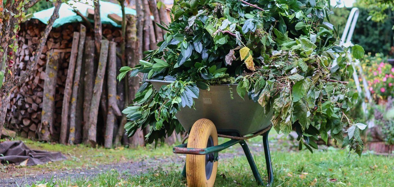 Ein mit Grünschnitt gefüllter Schubkarren steht in einem Garten. 