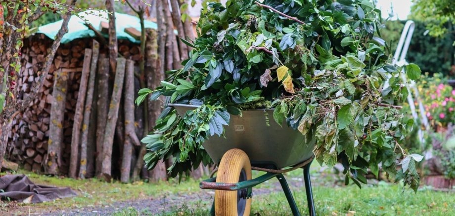 Ein mit Grünschnitt gefüllter Schubkarren steht in einem Garten. 