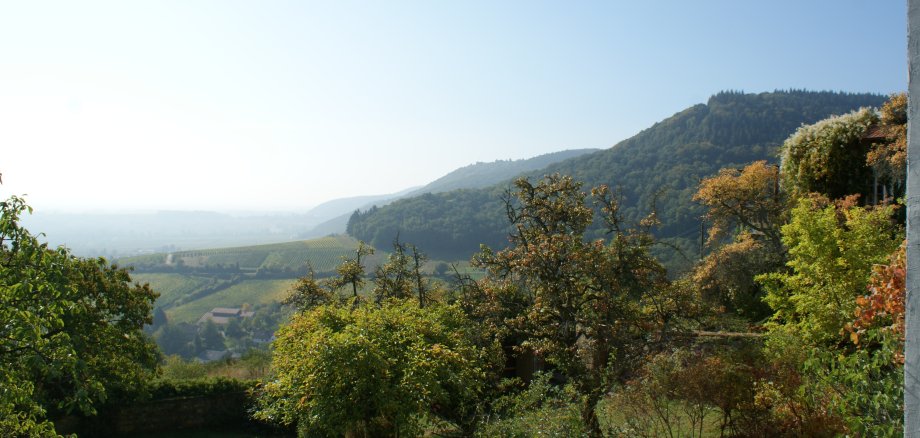 Schöne Aussicht vom Slevogthof in Leinsweiler. Foto: KV SÜW Blick auf herbstliche Bäume und Weinreben. Foto: KV SÜW
