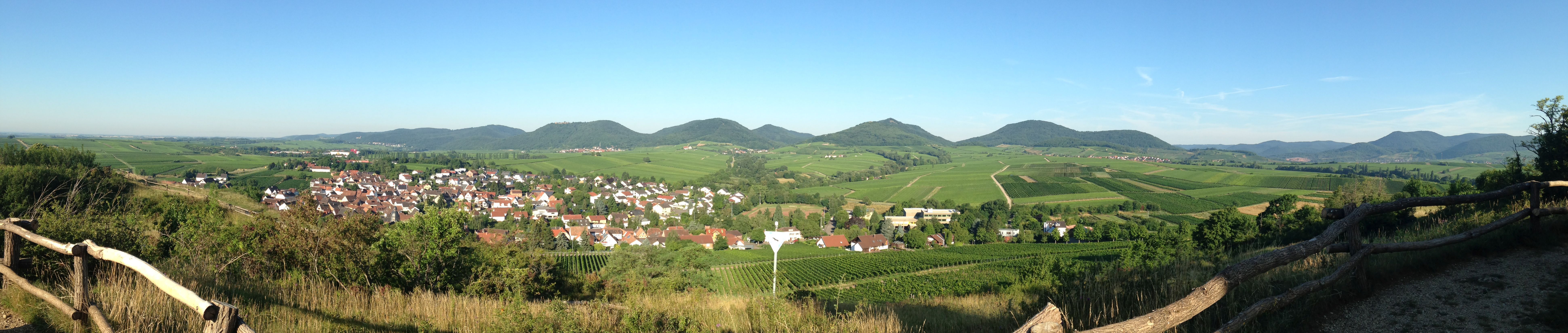 Blick von der Kleinen Kalmit nahe Ilbesheim auf bunte Landschaft mit Reben. 