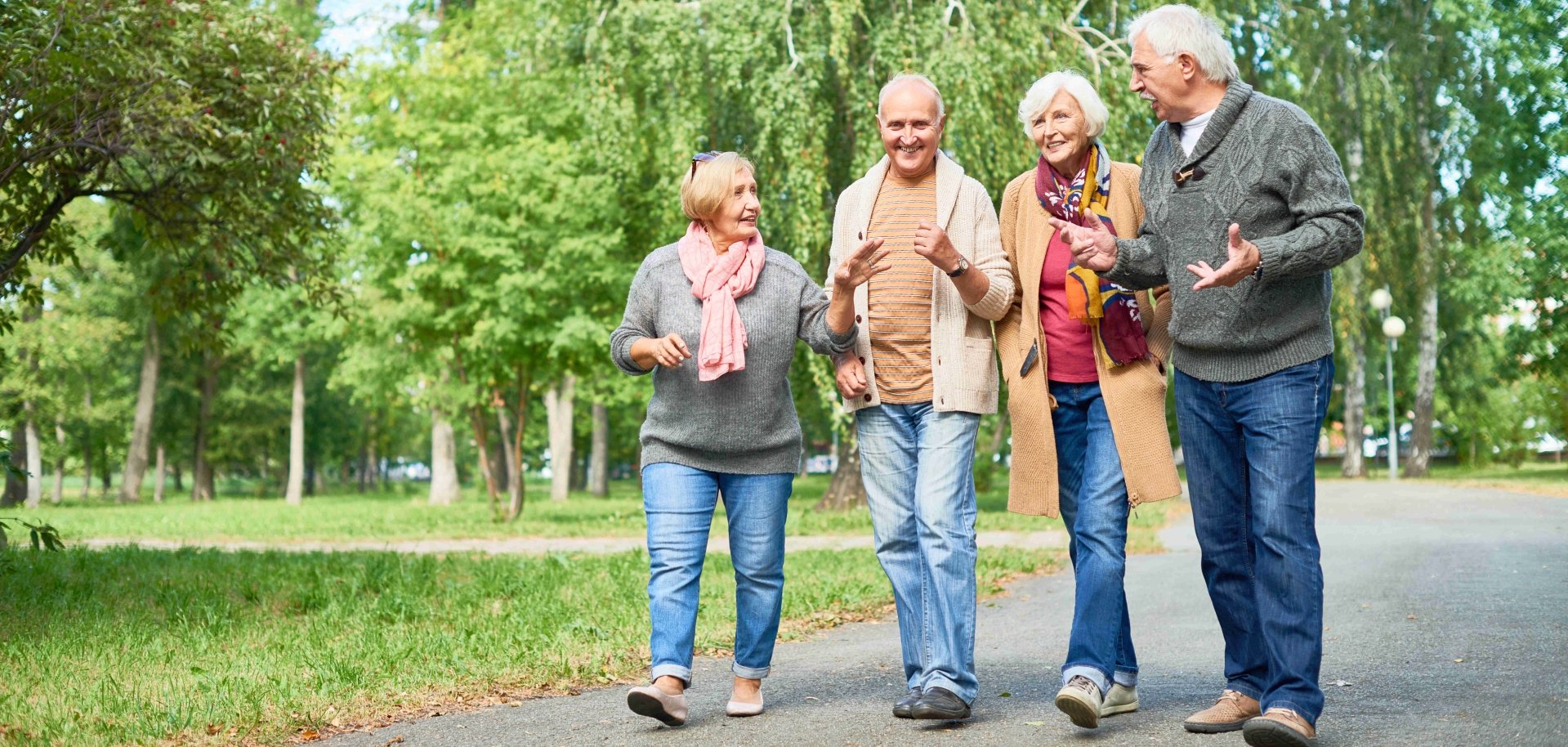Gut gelaunte Gruppe von Senioren in einem grünen Park am Plaudern.